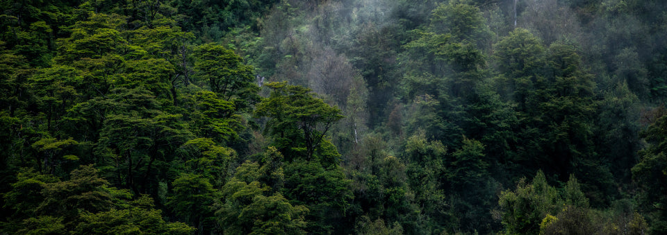 ダイスコミュニケーション
